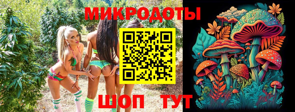 Псилоцибиновые грибы MAGIC MUSHROOMS  Вход с VPN  Кировск 